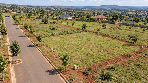 Savanna groove 